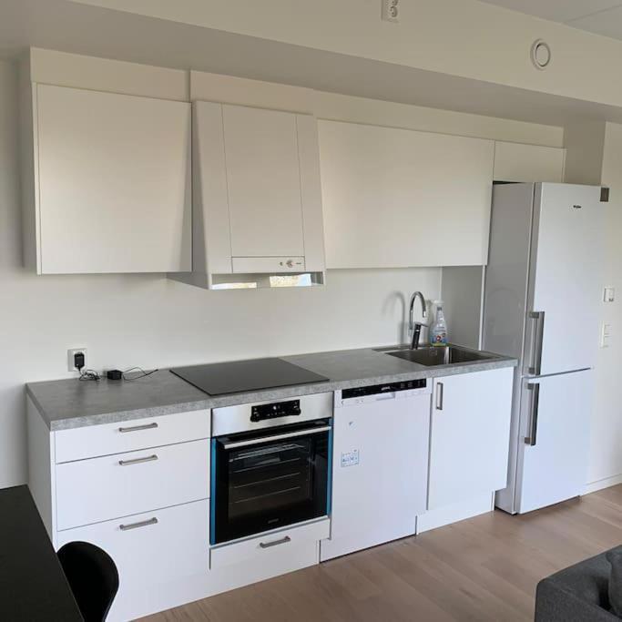 Scandpoint Apartment Fornebu Near Sea Front With Outdoor Walk! Stabekk Luaran gambar
